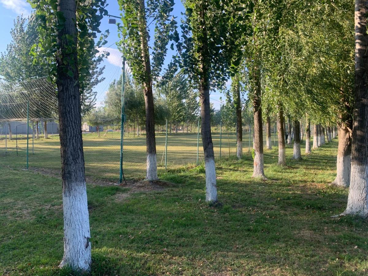Willa Gigios Sport&Relax Bailesti Zewnętrze zdjęcie